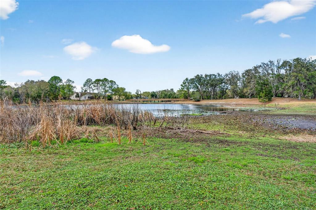 16330 Hanna Road Lutz, FL 33549 - Photo 54 of 63