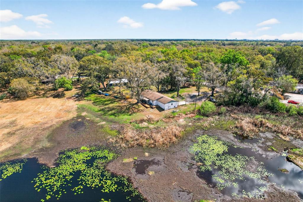 16330 Hanna Road Lutz, FL 33549 - Photo 59 of 63