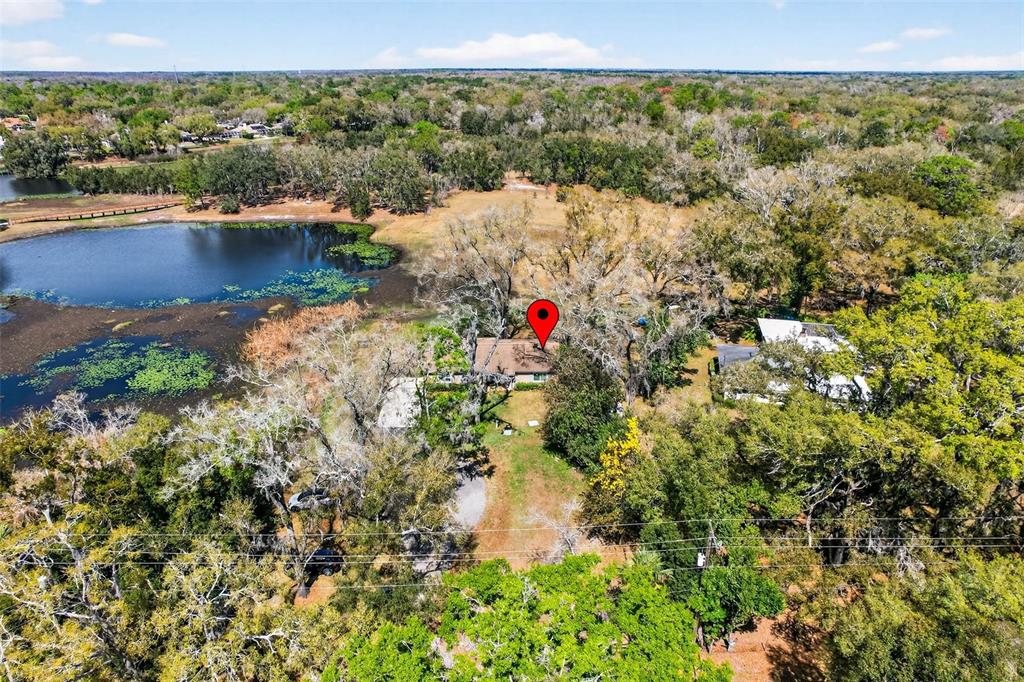 16330 Hanna Road Lutz, FL 33549 - Photo 60 of 63