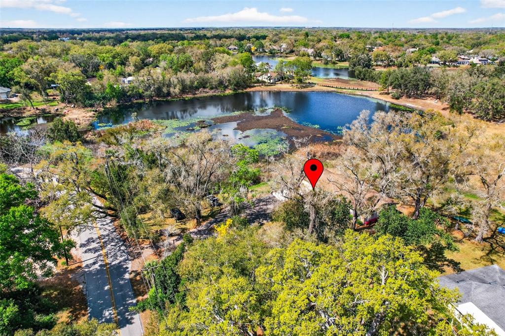 16330 Hanna Road Lutz, FL 33549 - Photo 62 of 63