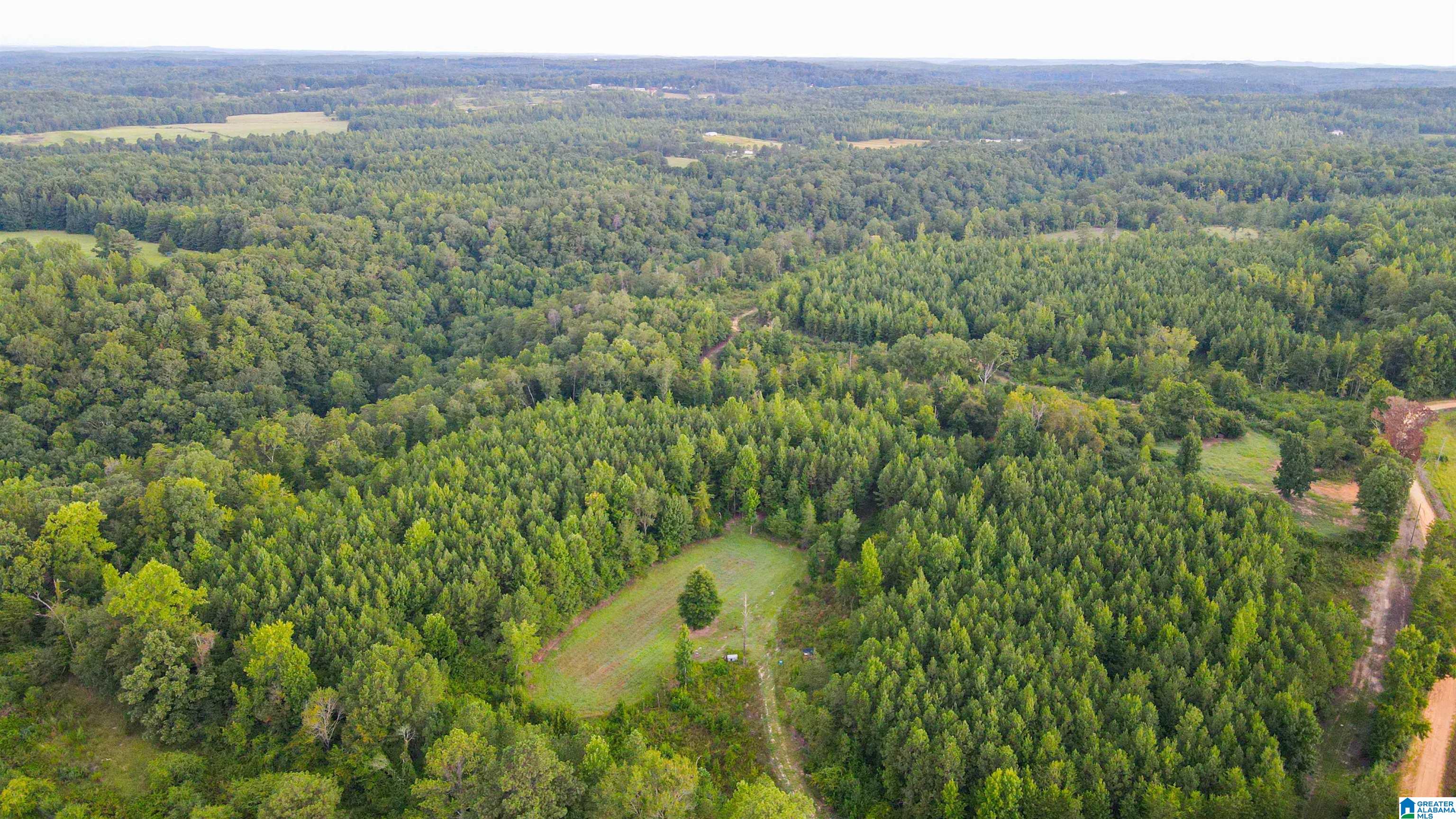 Bonner Drive, Unit 1 Berry, AL 35546 - Photo 52 of 56