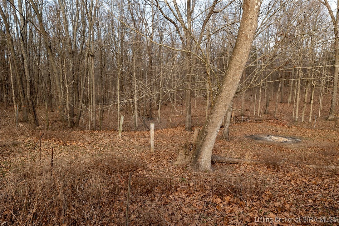 4249 West Grandview Road Salem, IN 47167 - Photo 3 of 37