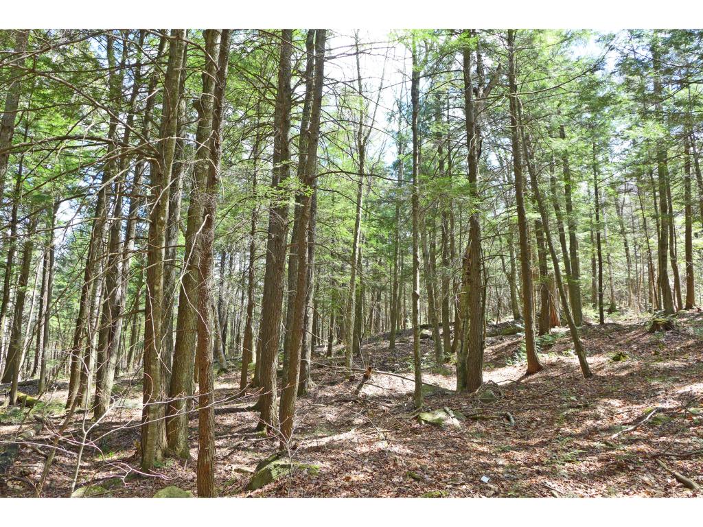 600 Billy Smith Road Newfane, VT 05345 - Photo 3 of 36