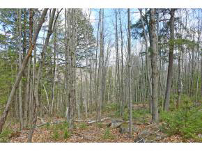 600 Billy Smith Road Newfane, VT 05345 - Photo 23 of 36