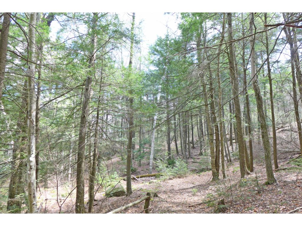 600 Billy Smith Road Newfane, VT 05345 - Photo 4 of 36