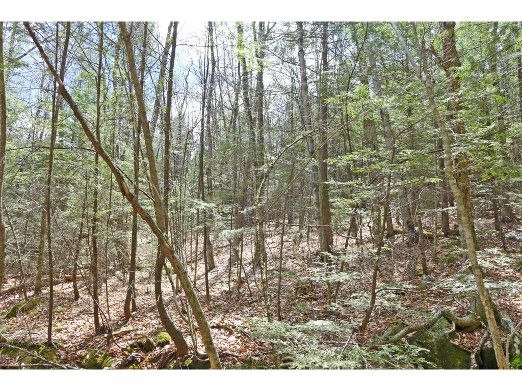 600 Billy Smith Road Newfane, VT 05345 - Photo 5 of 36