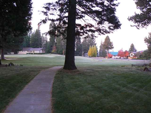 922 Golf Club Road Lake Almanor, CA 96137 - Photo 9 of 9