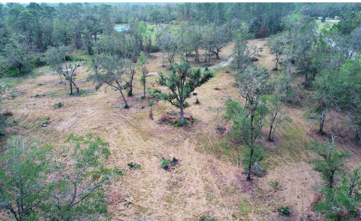 4899 Hampton Springs Road Perry, FL 32347 - Photo 6 of 23 Gallery Image 6