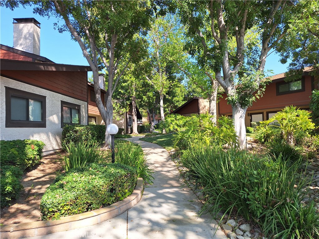 286 Teague Drive San Dimas, CA 91773 - Photo 15 of 16 a view of a yard with plants and large trees