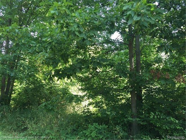 Vl North Briggsville Road Fowlerville, MI 48836 - Photo 4 of 10
