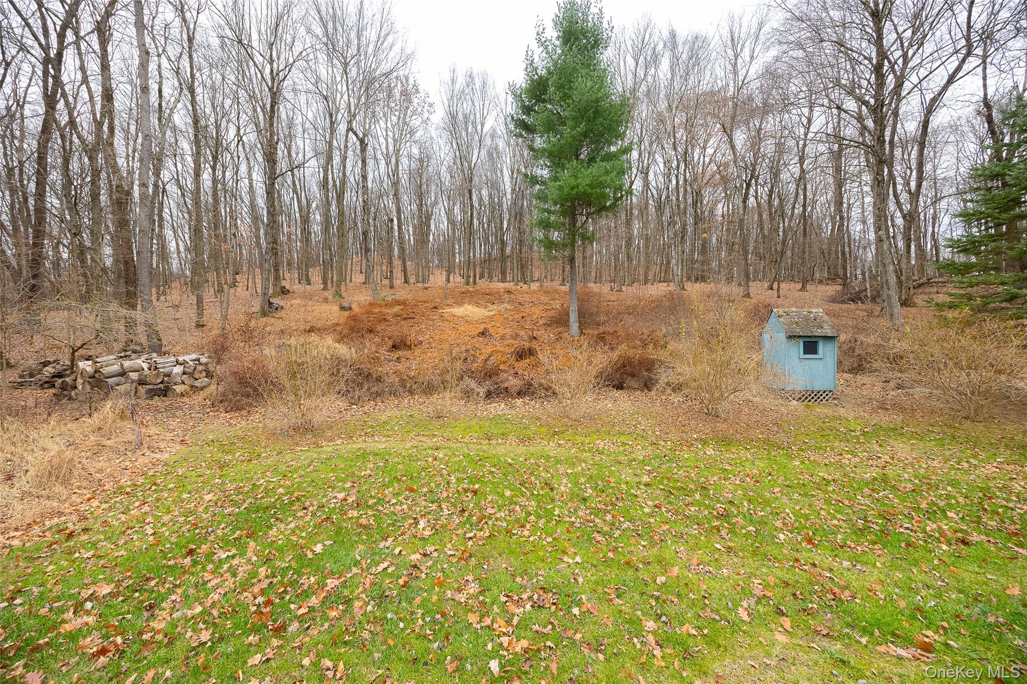 26 St Paul Road Red Hook, NY 12571 - Photo 34 of 35 a view of backyard with tree