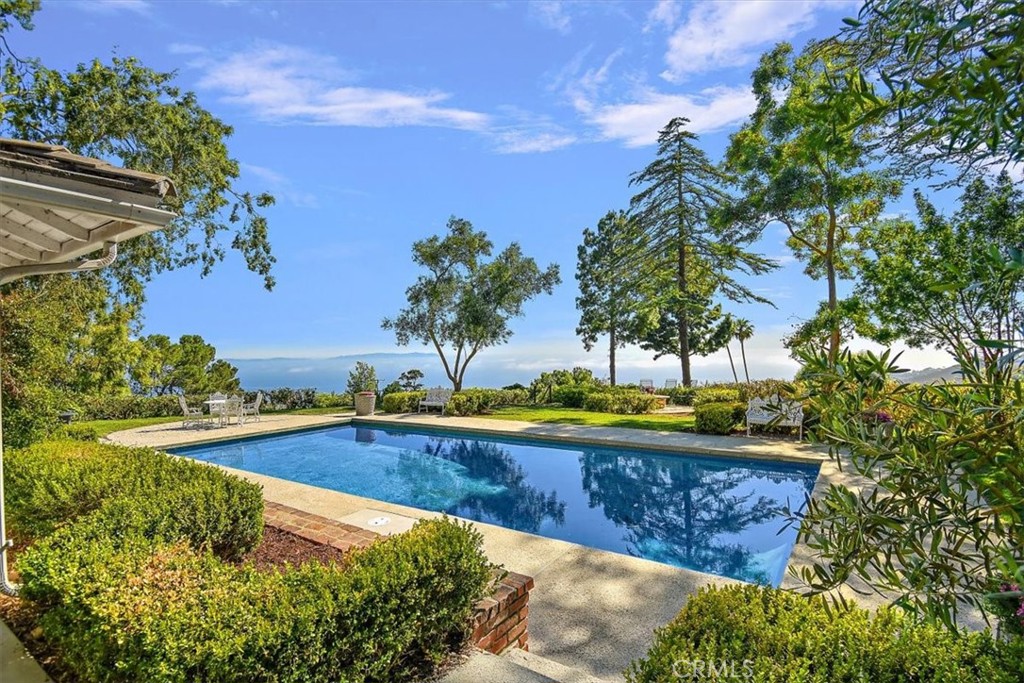 a view of a backyard with plants and swimming pool