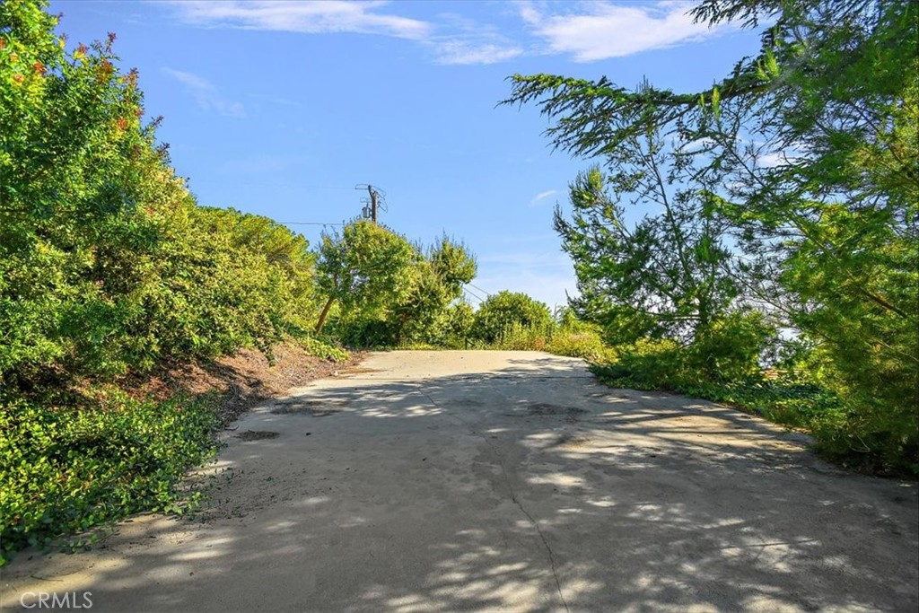 2 Quail Ridge Road South Rolling Hills, CA 90274 - Photo 52 of 67 a view of a yard with plants and a trees