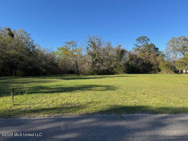 Mission Lane Biloxi, MS 39531 - Photo 4 of 5 IMG_9378