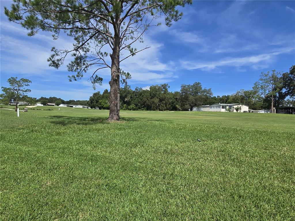 4121 Greenbluff Road, Unit 1895 Zellwood, FL 32798 - Photo 5 of 38 Gallery Image 5