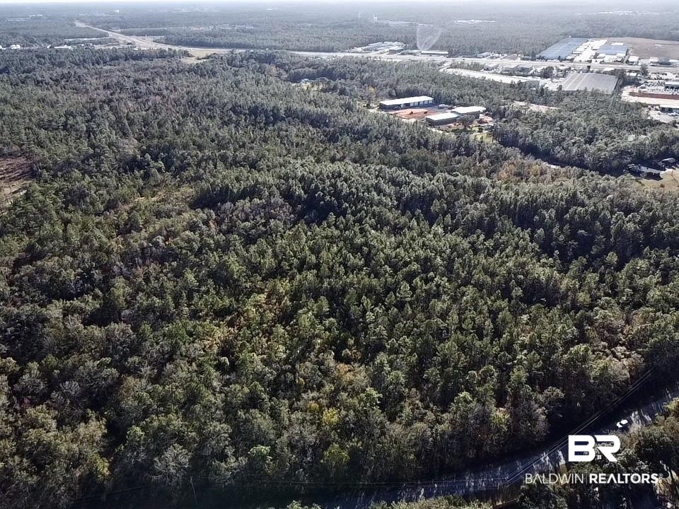 0 Riverview Pointe Drive Theodore, AL 36582 - Photo 6 of 21
