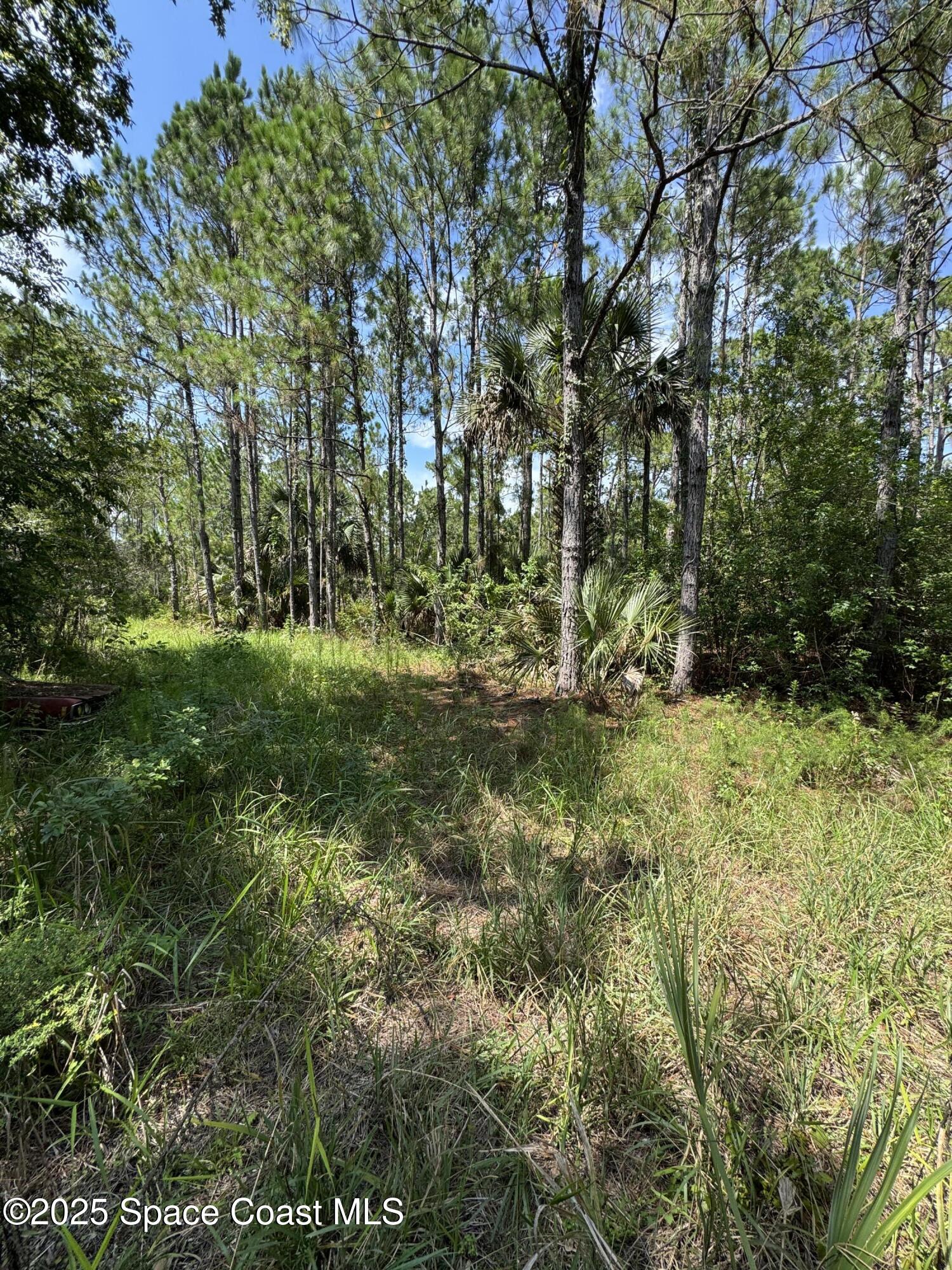 4300 Justa Road Mims, FL 32754 - Photo 40 of 55 IMG_5916 2