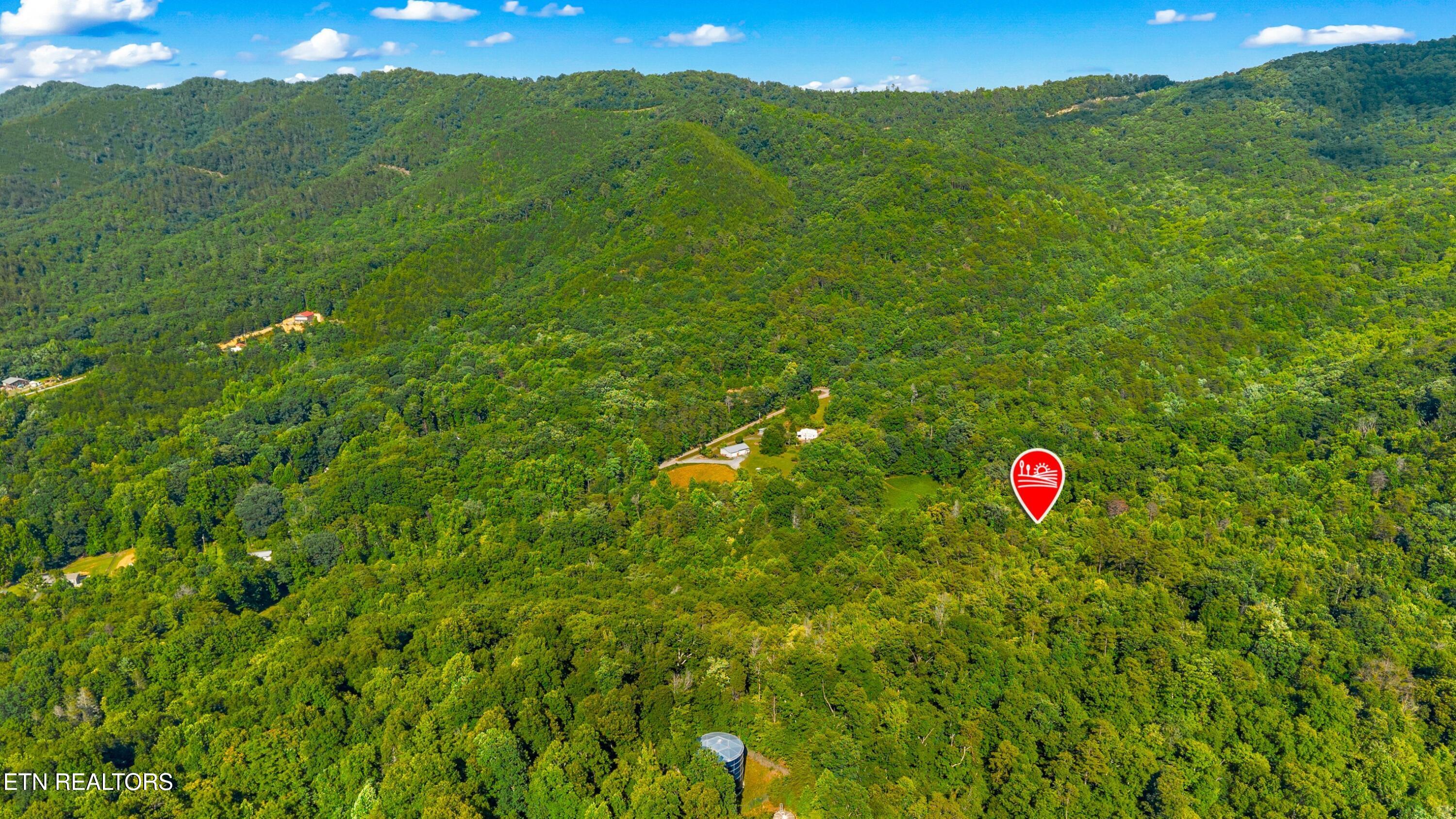 1549 Halls Top Road Newport, TN 37821 - Photo 6 of 9 004-1549HallsTopRd-Newport-TN-37821-SMAL