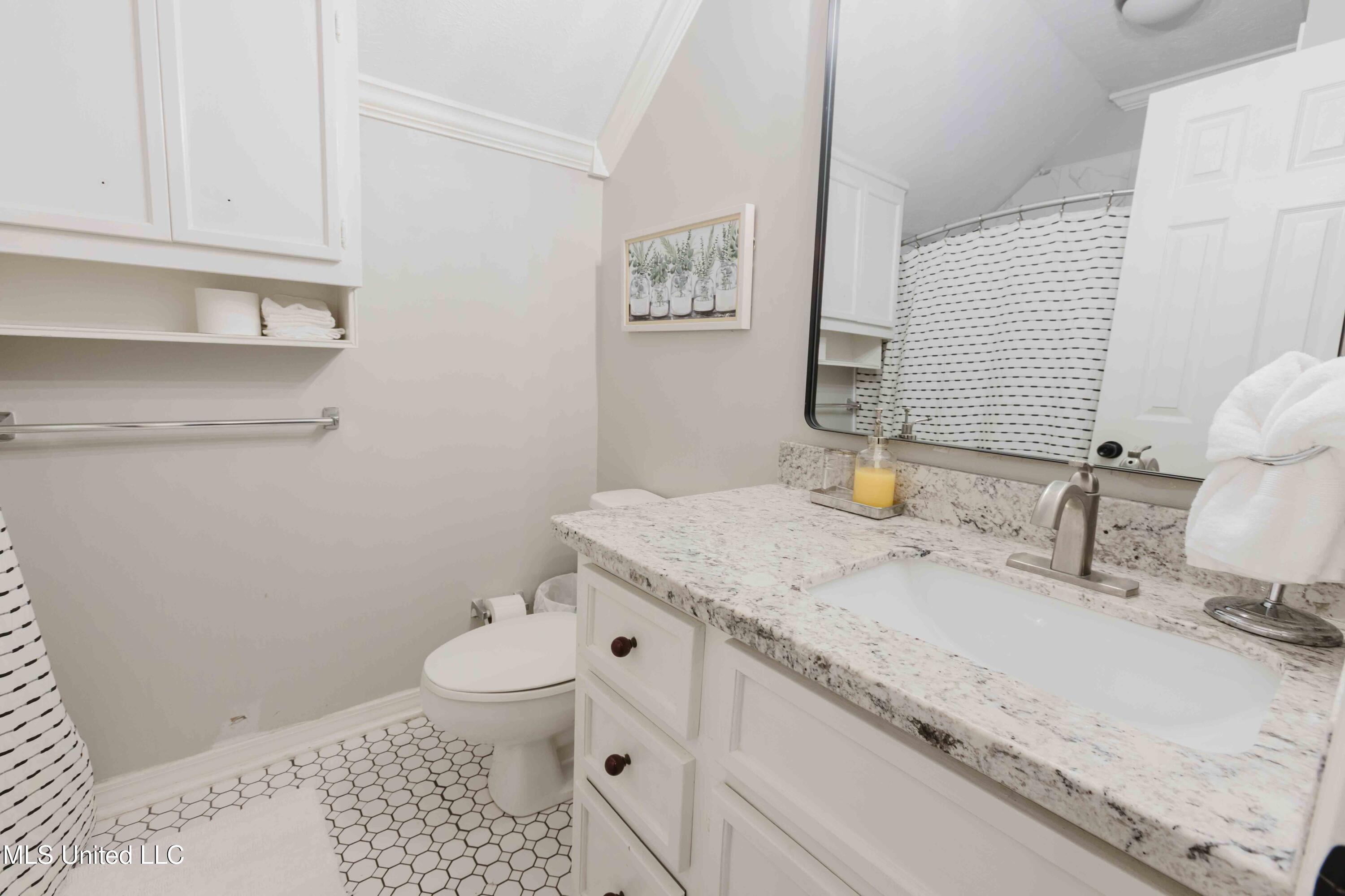 199 Mandarin Drive Brandon, MS 39047 - Photo 30 of 32 2 floor Bathroom