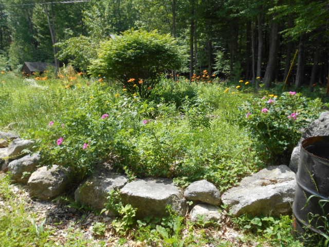 150 Bolan Road Milton, NH 03851 - Photo 13 of 31 Gallery Image 13