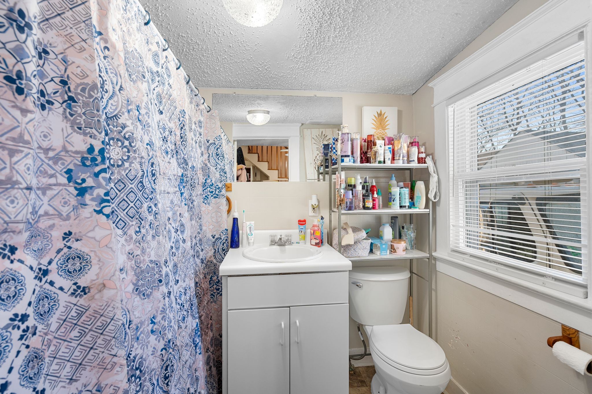 1710 County Hospital Road Nashville, TN 37218 - Photo 16 of 27 a bathroom with a sink toilet vanity and window