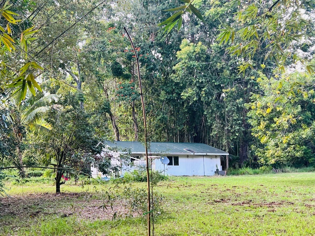 a house view with a backyard space