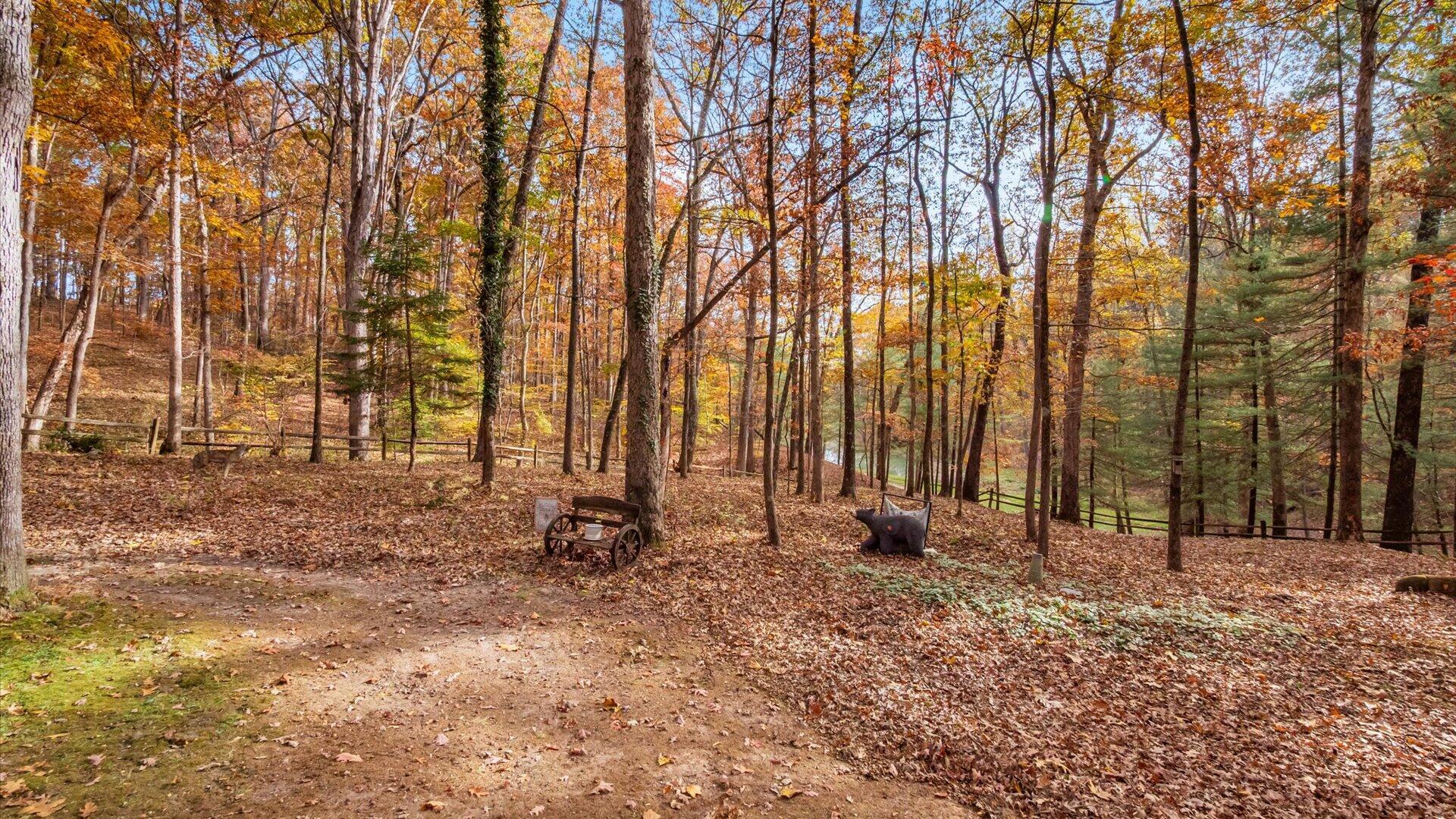 46585 Morning Star Road Racine, OH 45771 - Photo 42 of 50 58-z 46585 Morning Star105-2