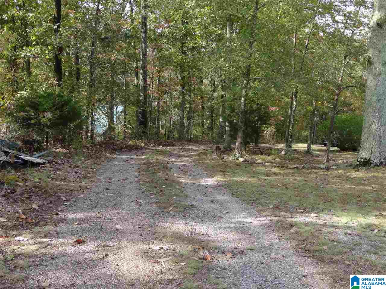 3444 Red Valley Road Remlap, AL 35133 - Photo 36 of 39