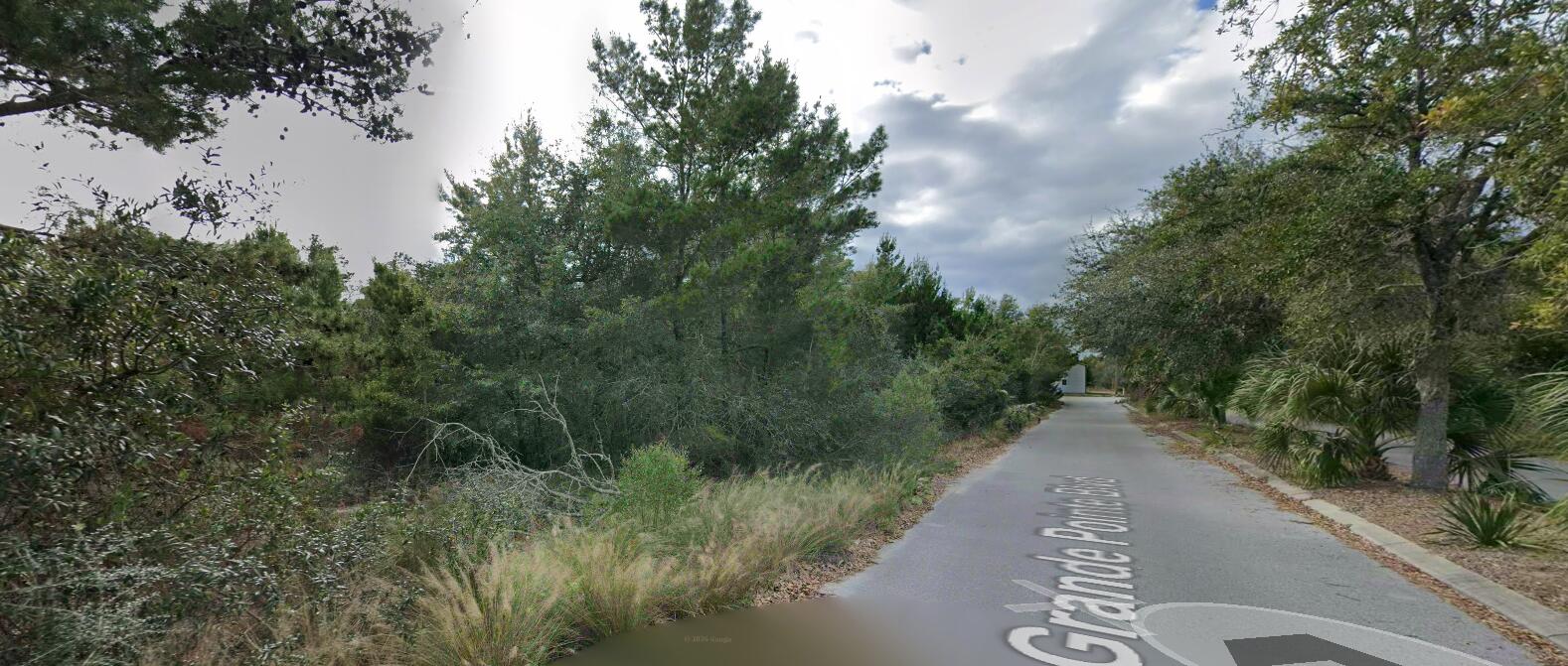 52 Holly Leaf Lane Inlet Beach, FL 32461 - Photo 1 of 3 a view of a street with trees in the background