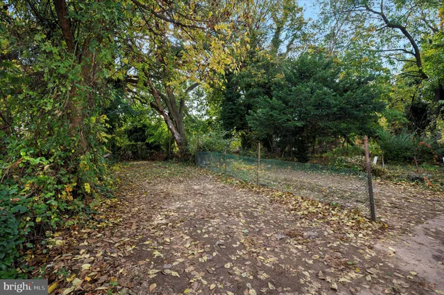 a view of outdoor space and trees