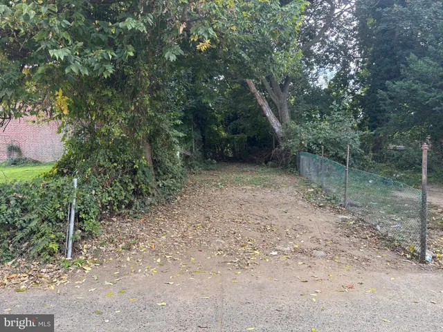 a view of a forest with trees in the background