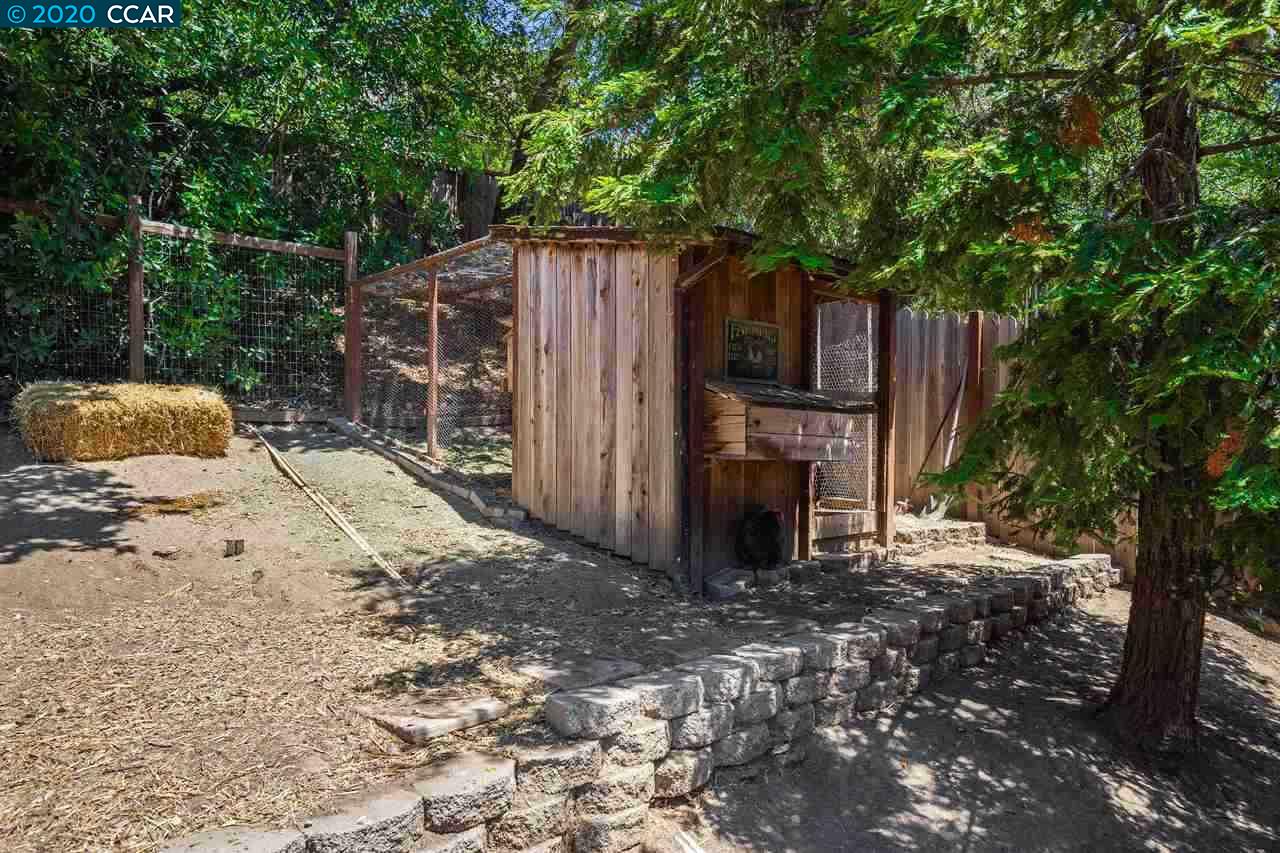 3131 Gloria Terrace Lafayette, CA 94549 - Photo 35 of 37