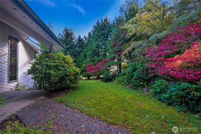 a view of a garden with plants and large trees