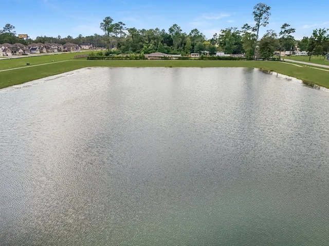 a view of a swimming pool with a garden