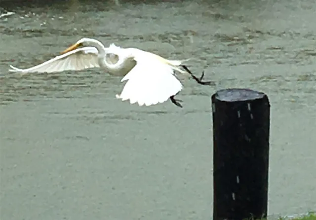 a front view of a house with swimming pool and sitting area