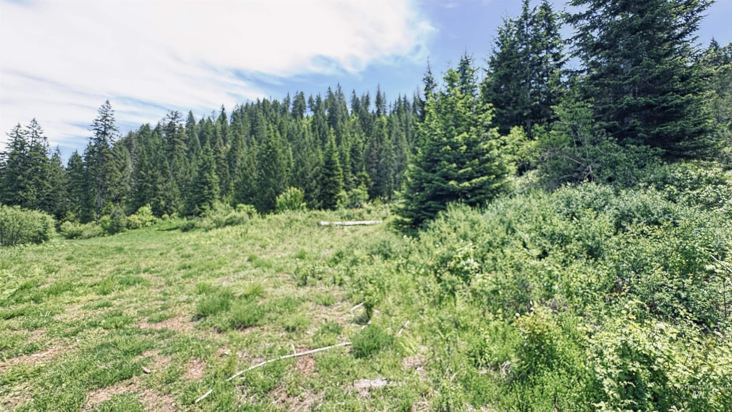 Tbd Glenwood Road Kamiah, ID 83536 - Photo 39 of 50