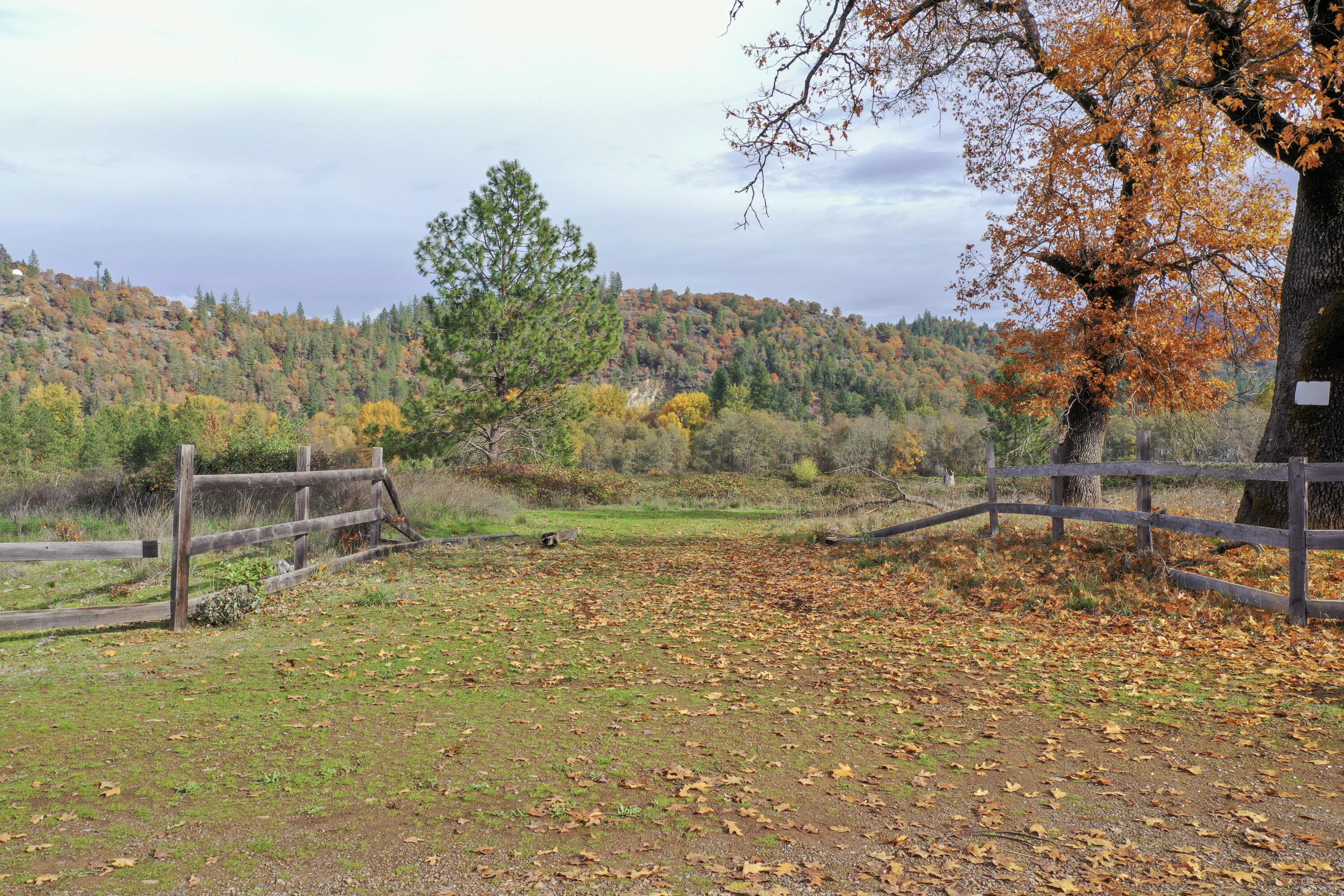 500 Powell Creek Road Williams, OR 97544 - Photo 2 of 28 1-DJI_0001