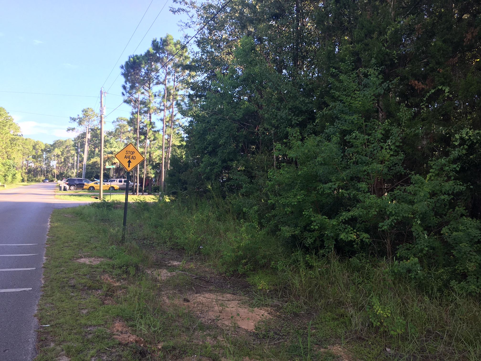 Lot 13 1st Street Santa Rosa Beach, FL 32459 - Photo 1 of 5 Gallery Image 1