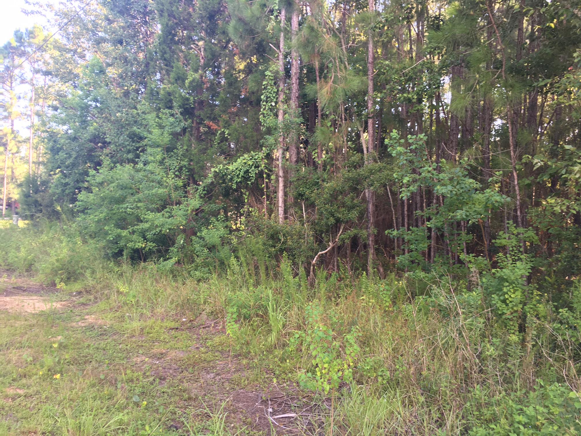 Lot 13 1st Street Santa Rosa Beach, FL 32459 - Photo 2 of 5 Gallery Image 2