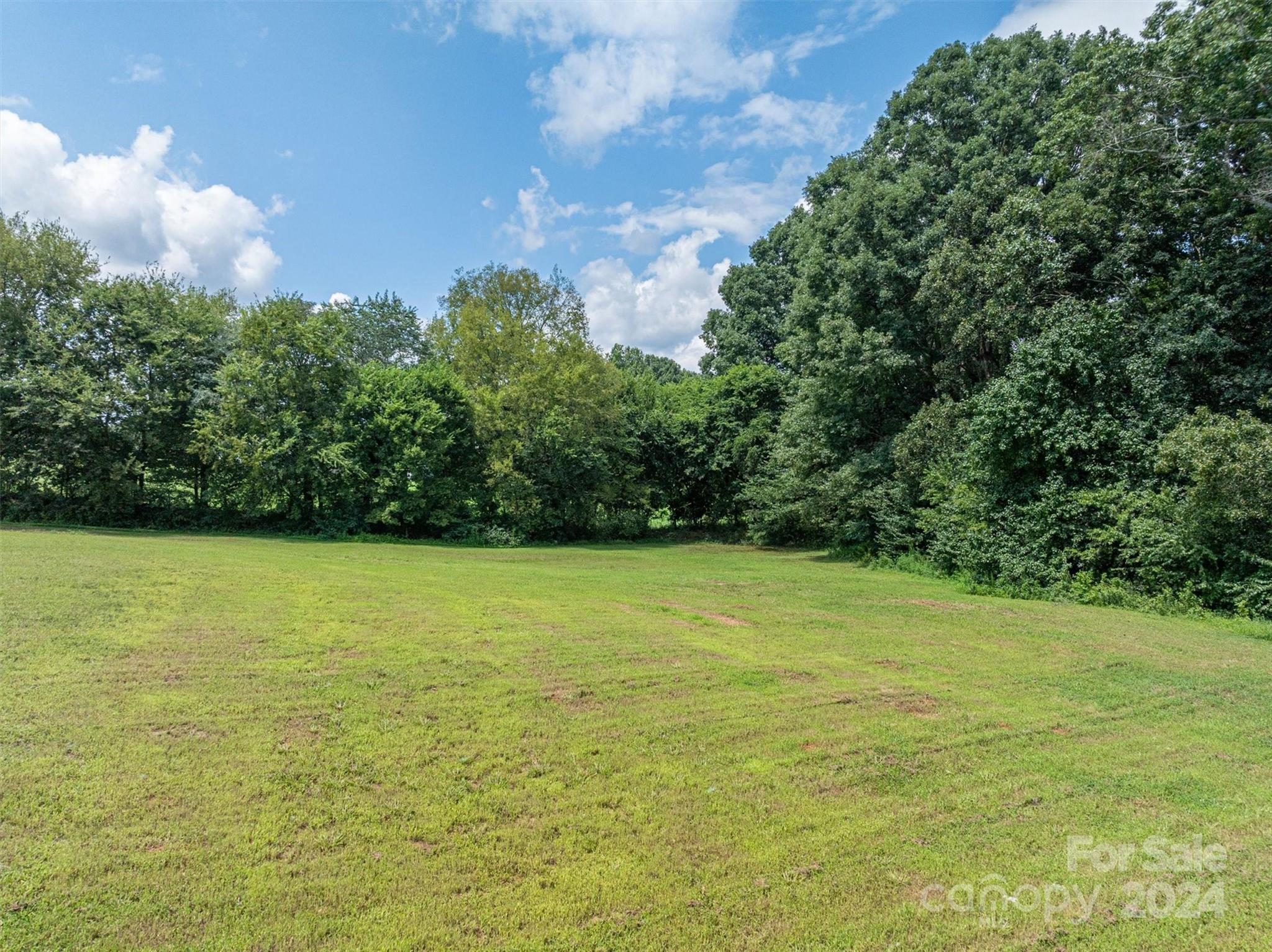 2388 Cat Square Road Vale, NC 28168 - Photo 33 of 33 a view of a big yard with an trees