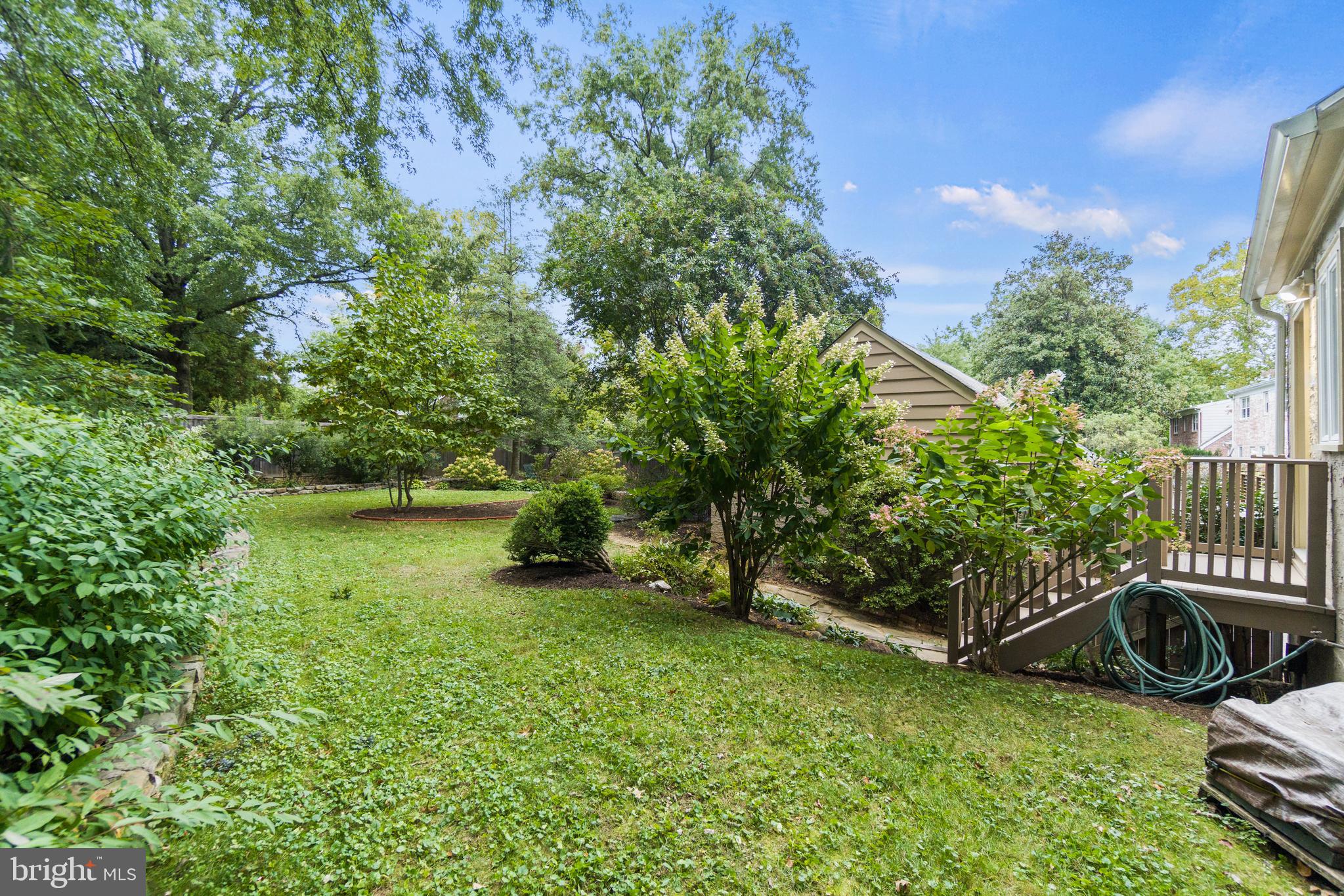 203 Oxford Street Chevy Chase, MD 20815 - Photo 47 of 53