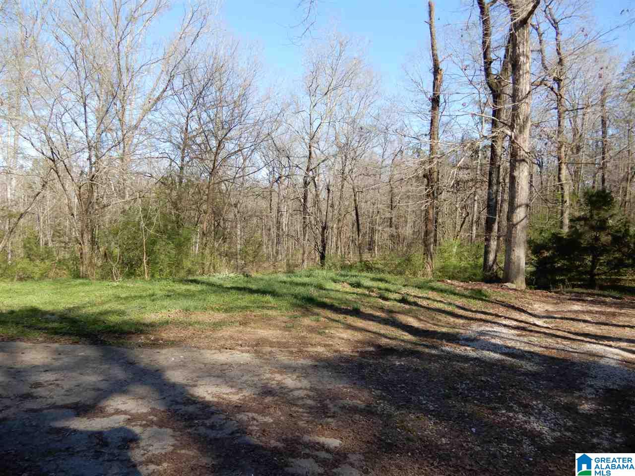 1994 Salem Road Montevallo, AL 35115 - Photo 2 of 13