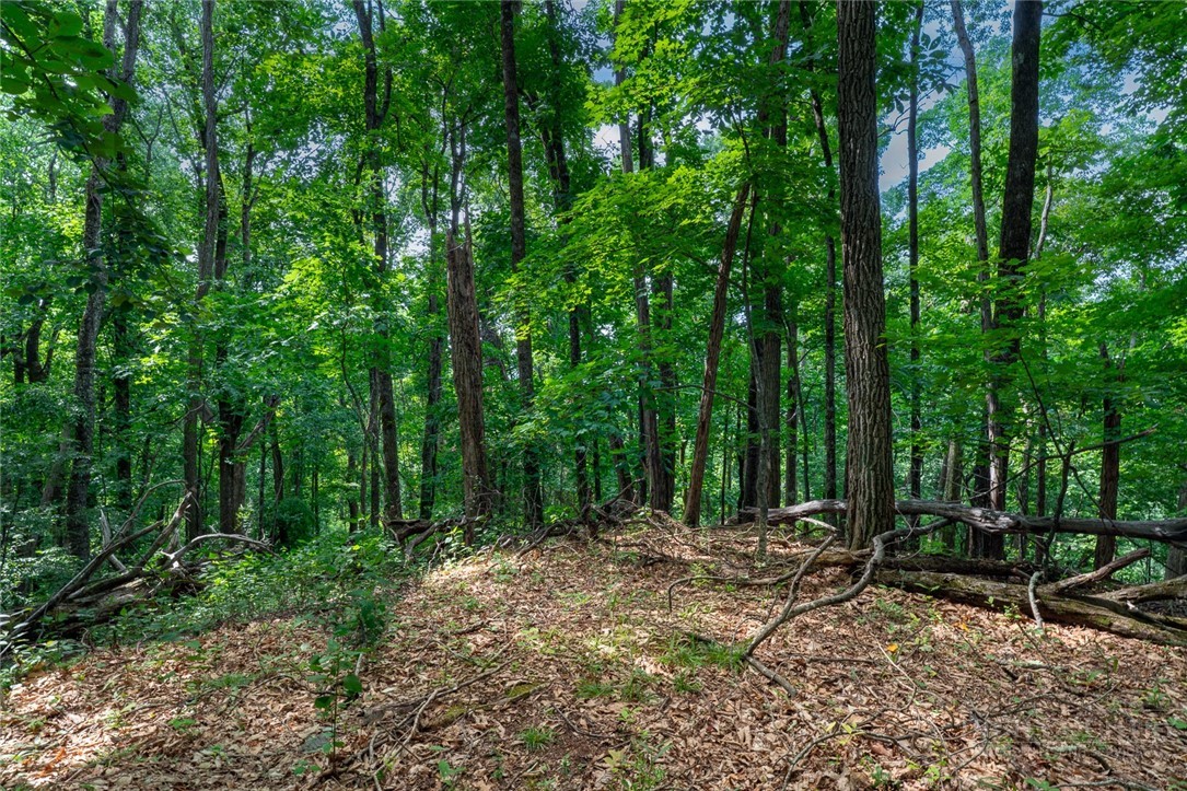 Lot 4 Old Orchard Road Lenoir, NC 28645 - Photo 9 of 23