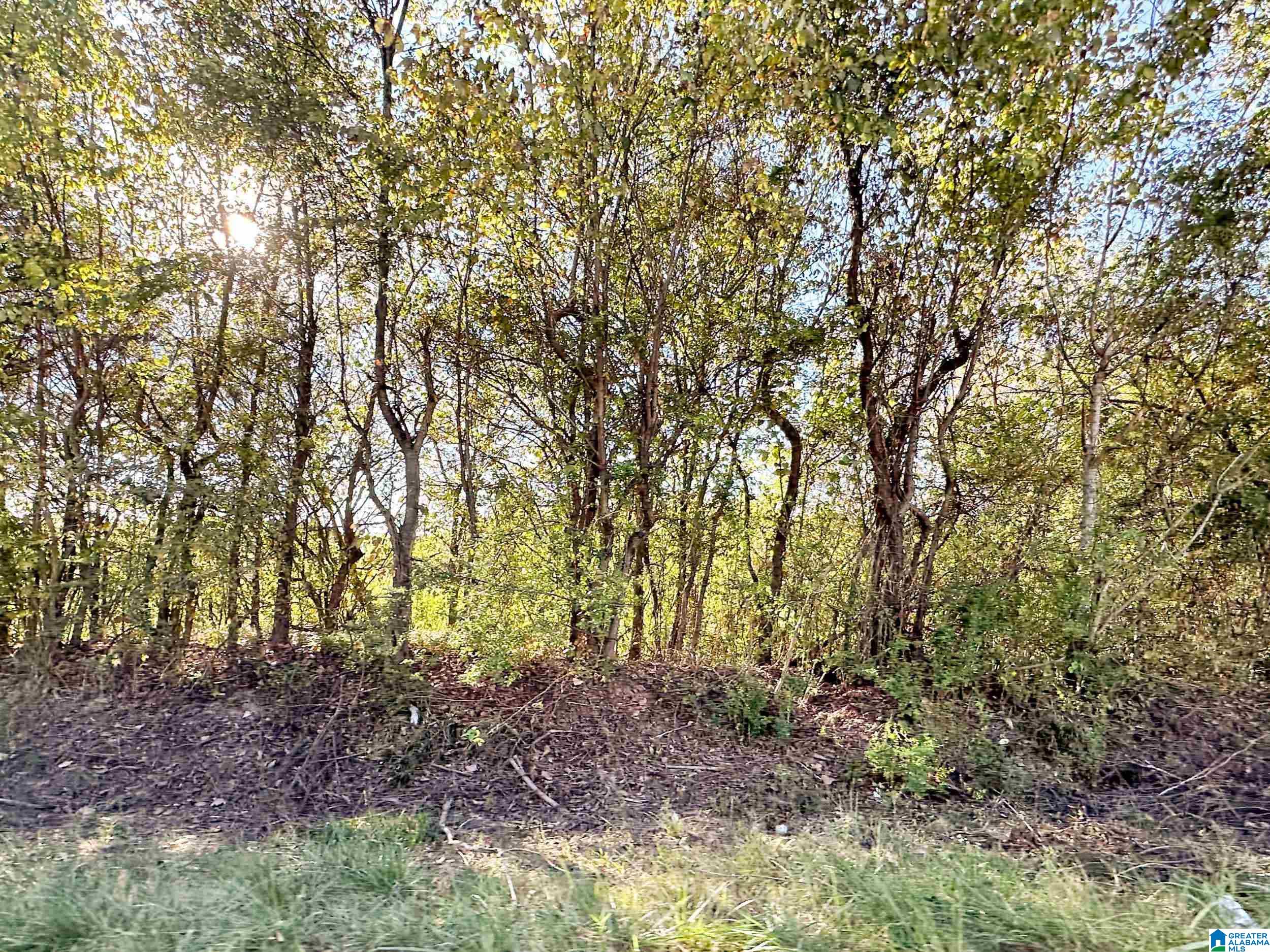 4640 Elfreth Johnson Road Birmingham, AL 35215 - Photo 7 of 7
