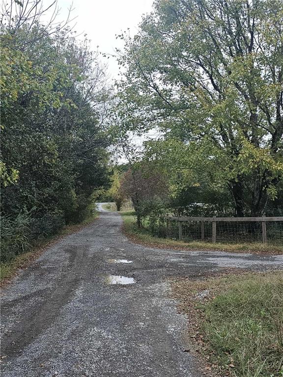 2081 Blacks Bluff Road Southwest Rome, GA 30161 - Photo 11 of 13 a backyard of a house with lots of green space