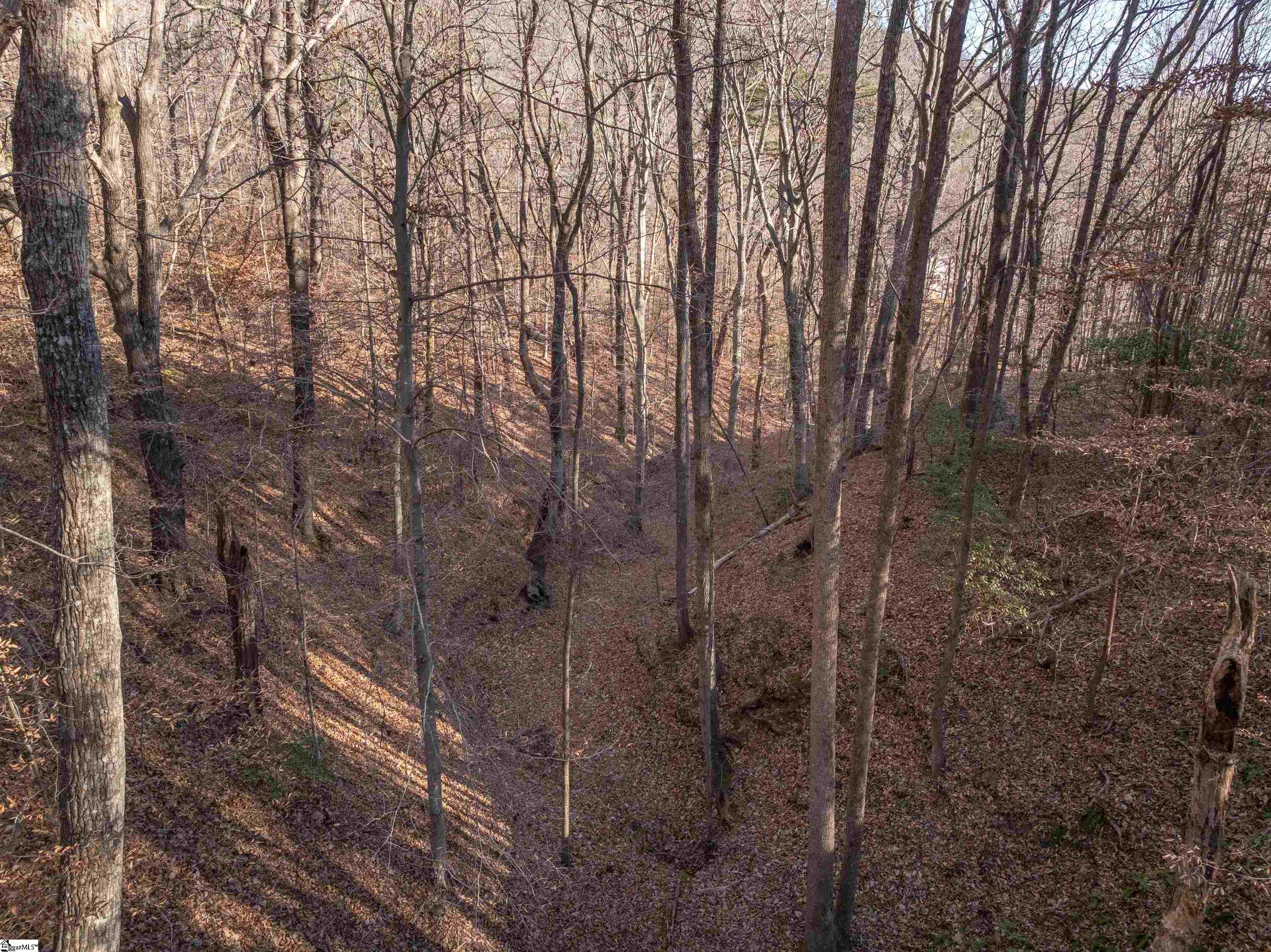 0 Pittman Road Landrum, SC 29356 - Photo 18 of 25