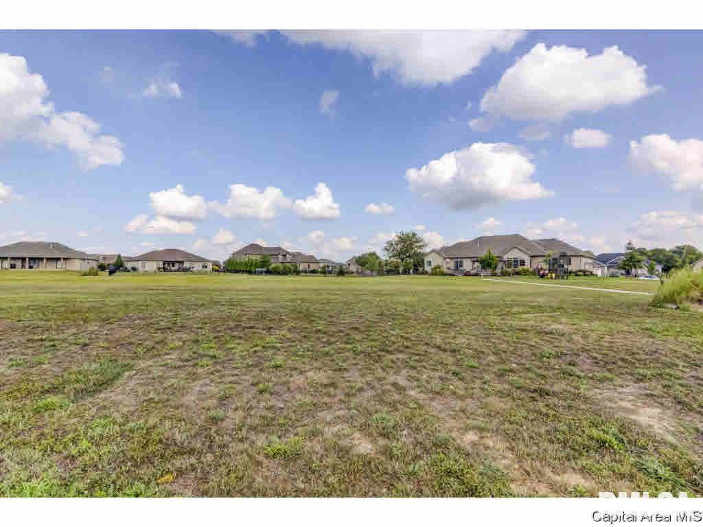 314 Ramblewood Road Chatham, IL 62629 - Photo 1 of 1 Gallery Image 1