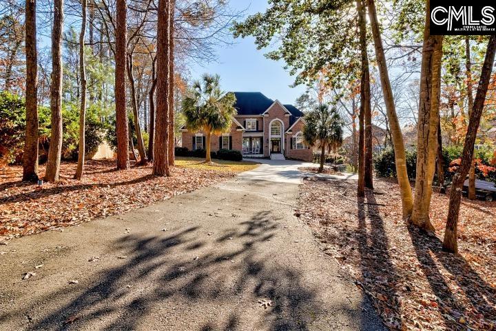 2016 Amicks Ferry Road Chapin, SC 29036 - Photo 6 of 47