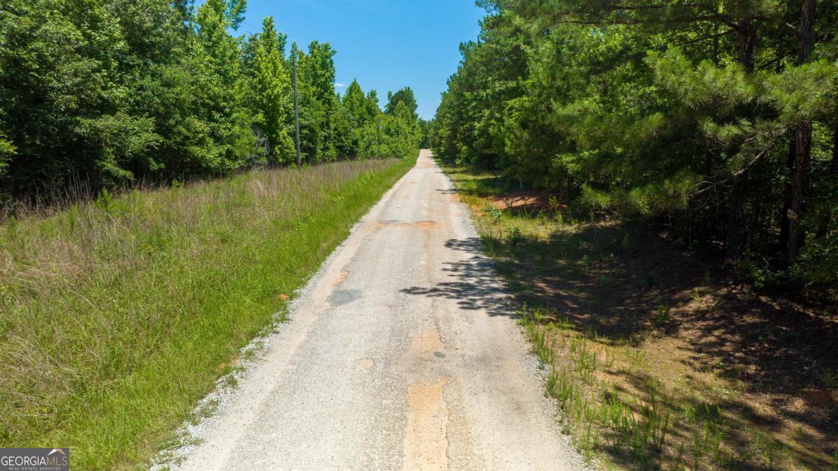 Lot 36 Marshall Road Buckhead, GA 30625 - Photo 2 of 8