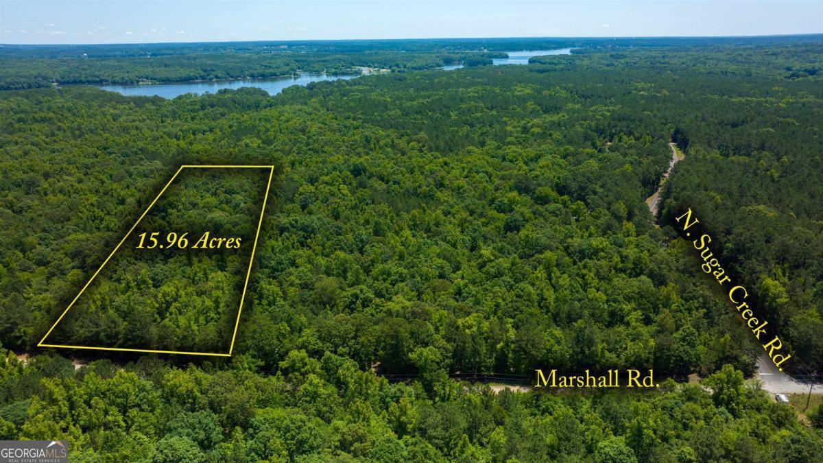 Lot 36 Marshall Road Buckhead, GA 30625 - Photo 3 of 8